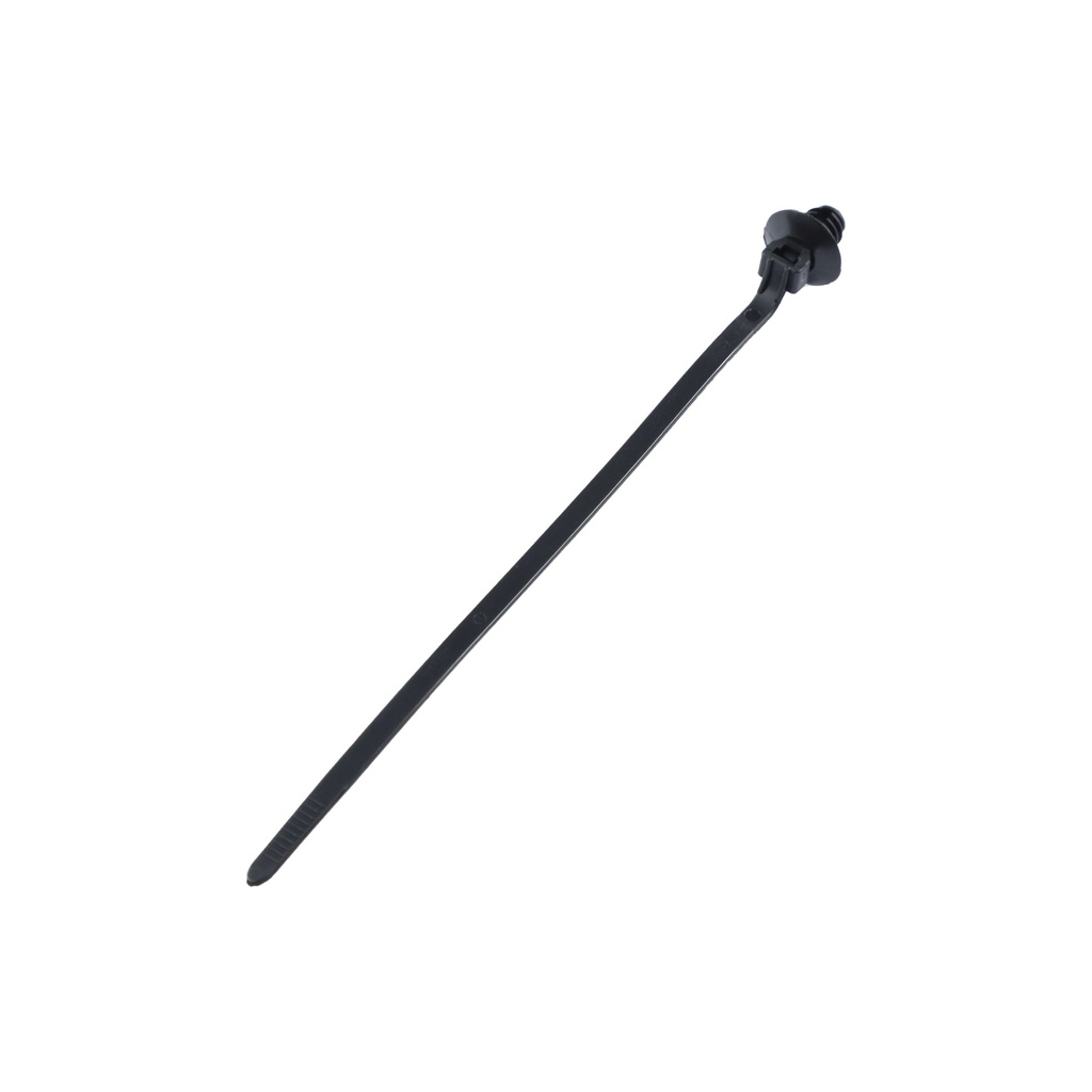 [380900267-0001] BAND, 380900267-0001